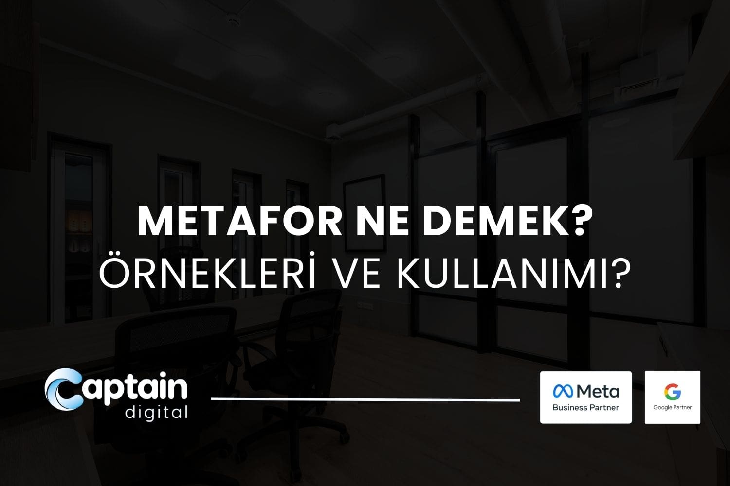 Metafor Ne Demektir