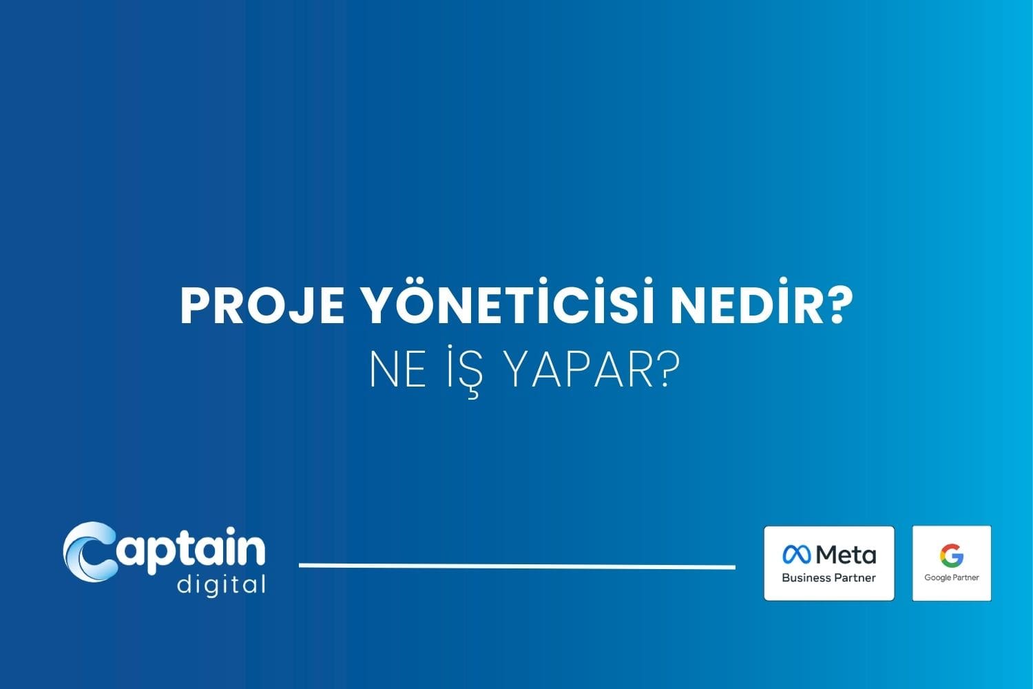 proje yöneticisi nedir?